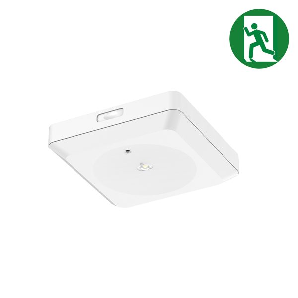 Nood downlight | 3W | 148*148mm | wit | auto test