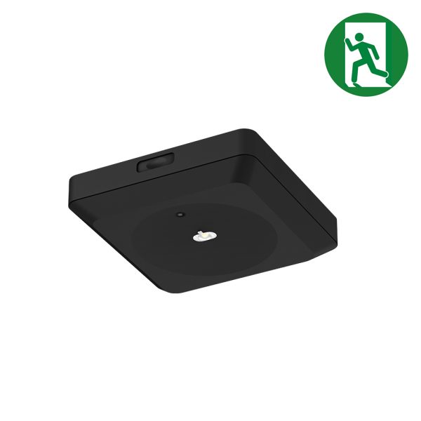Nood downlight | 3W | 148*148mm | zwart | auto test