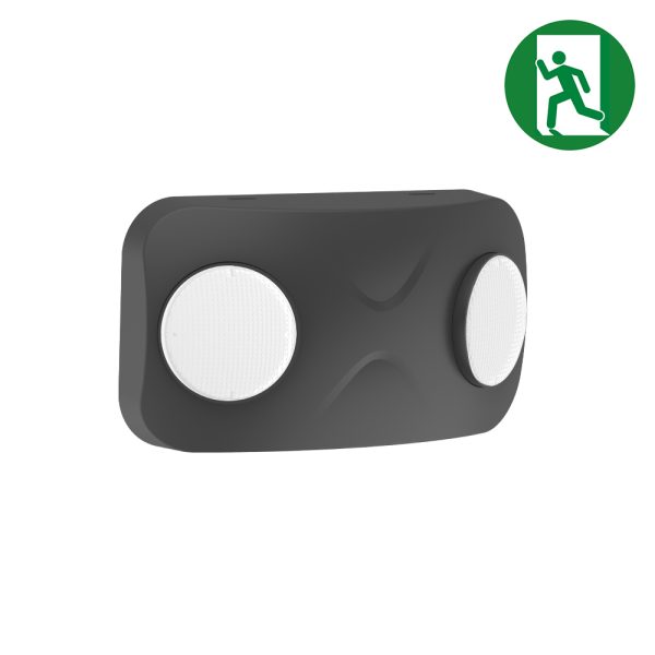 Noodverlichting | 8W | zwart | auto test