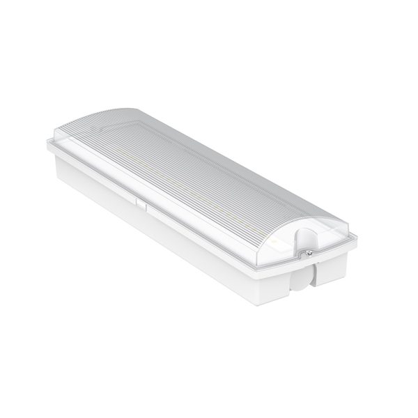 Opbouw noodverlichting voor aan de wand