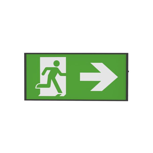 Vooraanzicht groot nood uitgangsbord